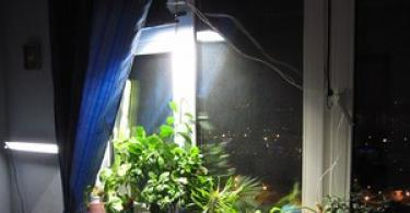 Proper artificial lighting for indoor plants and flowers