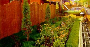 كيفية تزيين الحديقة الأمامية في المدينة بيديك