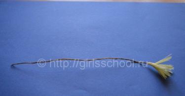 DIY kağız qardelenler: master-klass (foto) Öz əlinizlə kağızdan qar dənlərini necə etmək olar