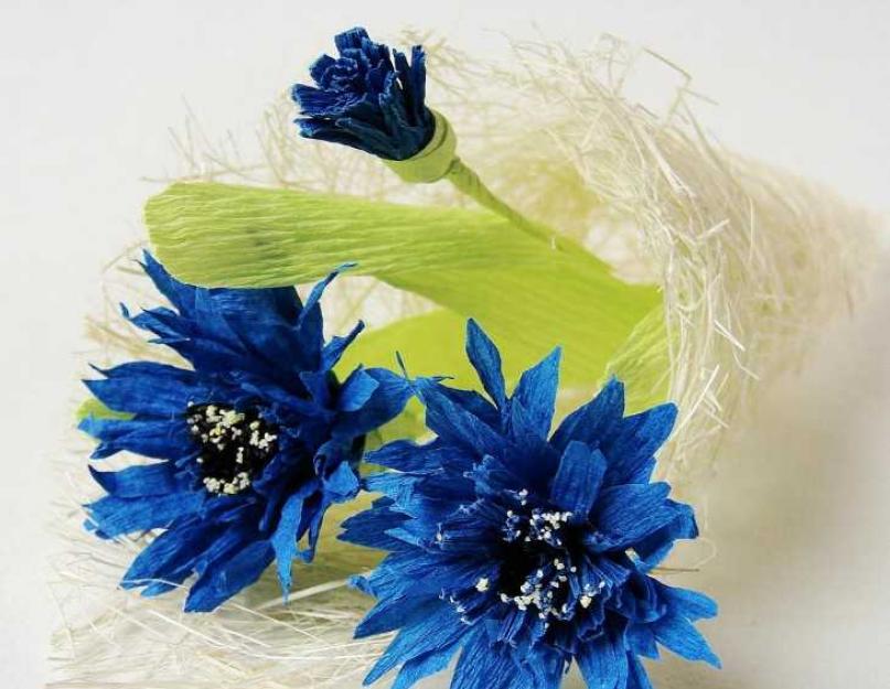 زهور ورقية.  جمال DIY